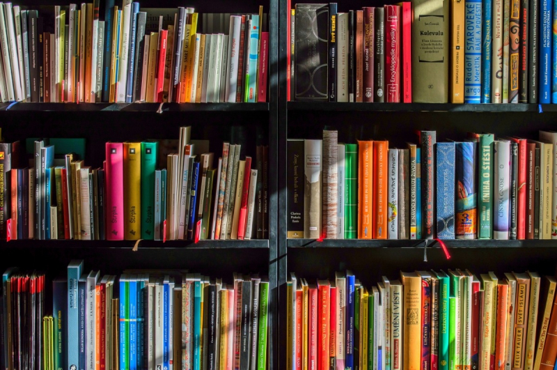 boutique-LA ROQUEBRUSSANNE-min_books_bookstore_book_reading_shop_writer_sale_books_read-822866